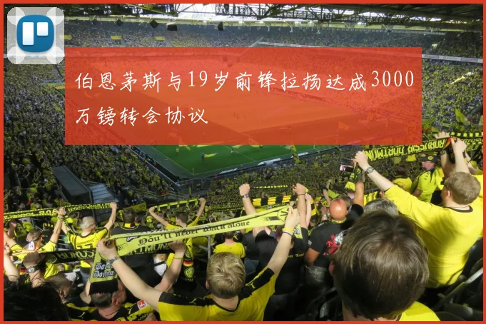 伯恩茅斯与19岁前锋拉扬达成3000万镑转会协议