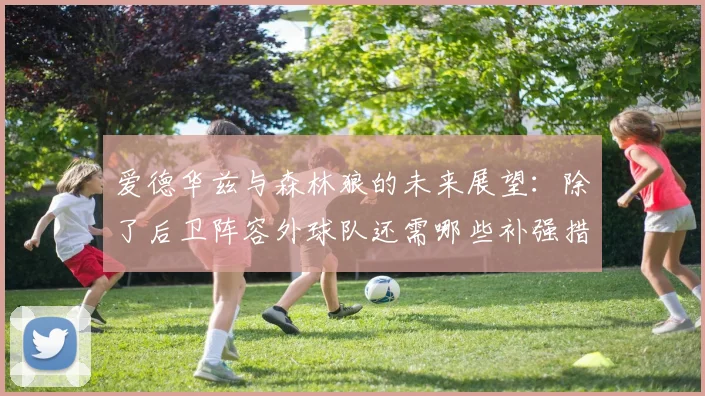 爱德华兹与森林狼的未来展望：除了后卫阵容外球队还需哪些补强措施