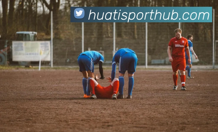 华体会体育APP 封面图